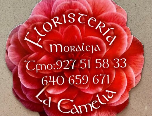 Floristeria La Camelia