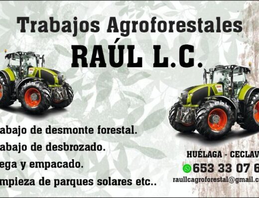 Raul Lucero Caro