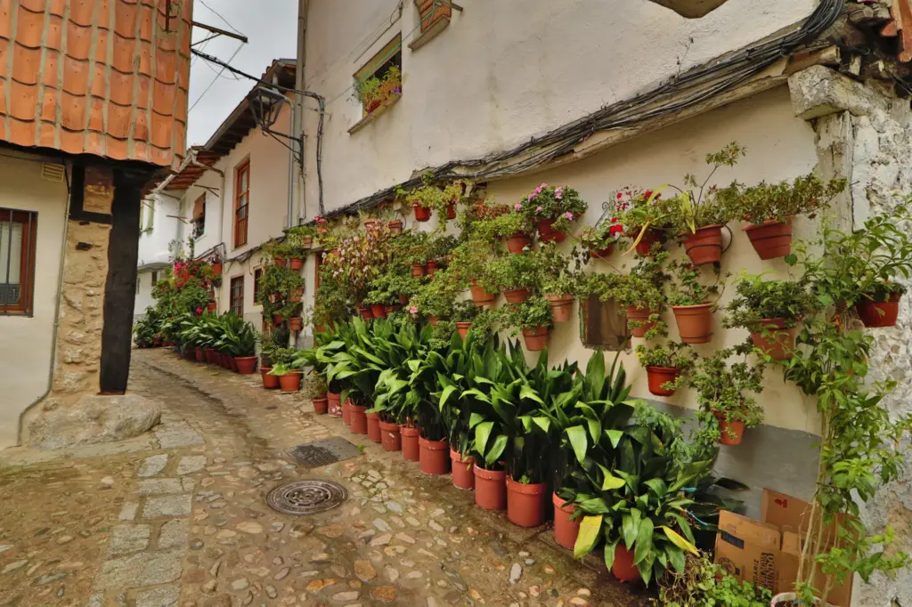 Calle de la judería de Hervás adornada con macetas y plantas (Cáceres)