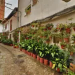 Calle de la judería de Hervás adornada con macetas y plantas (Cáceres)