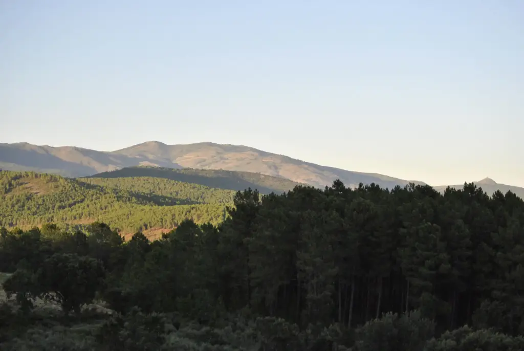Montañas y pinares de la Sierra de Gata vistos desde Acebo (Cáceres)