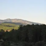 Montañas y pinares de la Sierra de Gata vistos desde Acebo (Cáceres)