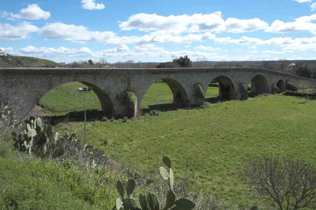 Puente viejo de Coria sobre prado verde (Cáceres)