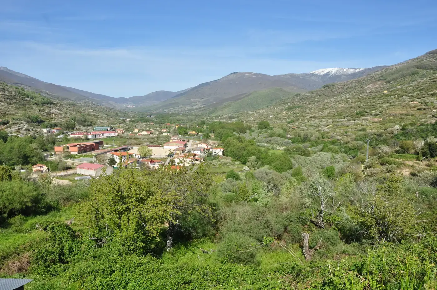 Pueblo del Valle del Jerte entre huertos y laderas verdes, con sierra nevada al fondo (Cáceres)