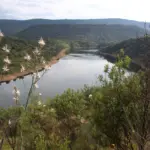 Río Tajo entre laderas verdes del Parque Nacional de Monfragüe (Cáceres)