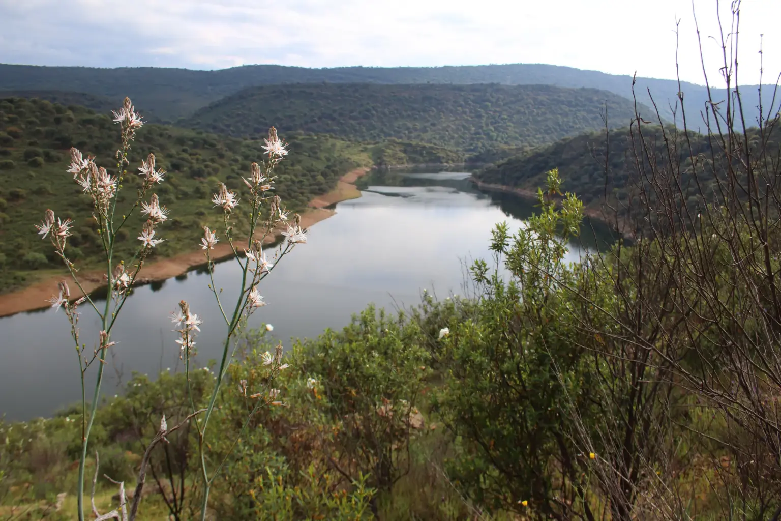 Río Tajo entre laderas verdes del Parque Nacional de Monfragüe (Cáceres)